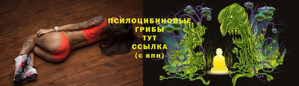 дживик Козловка