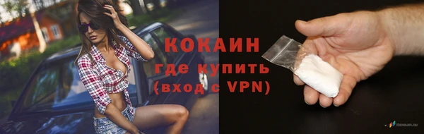 ГАЛЛЮЦИНОГЕННЫЕ ГРИБЫ Кодинск