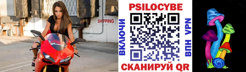 Псилоцибиновые грибы Psilocybe  Купить закладки  Лениногорск 